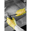 Polyco GD17 Shield Vinyl Powder Free Disposable Glove (Yellow) L